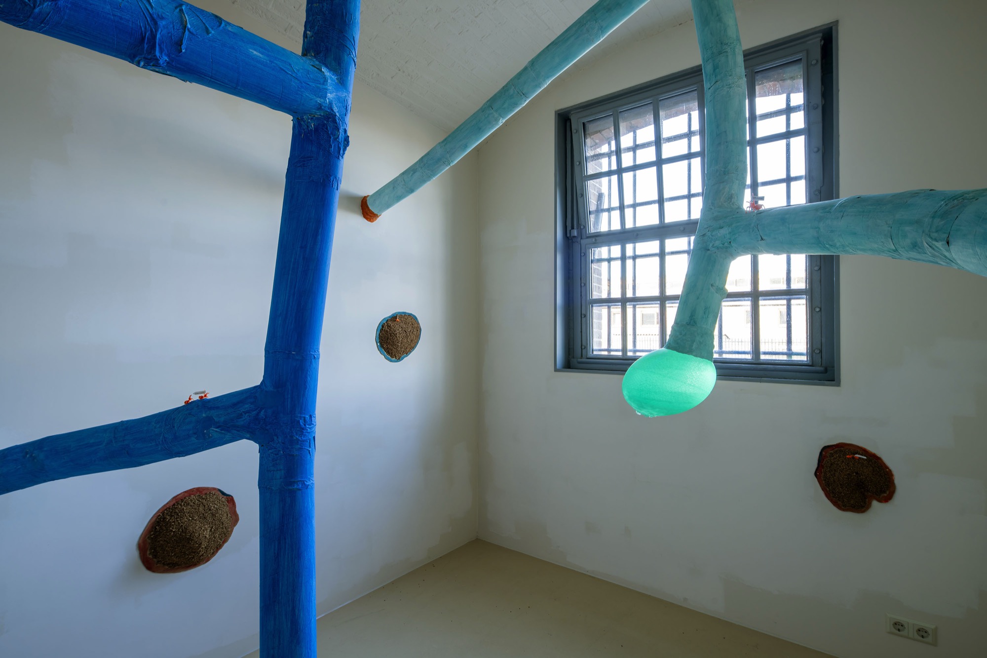 Ants Trilogy: Magic Dome