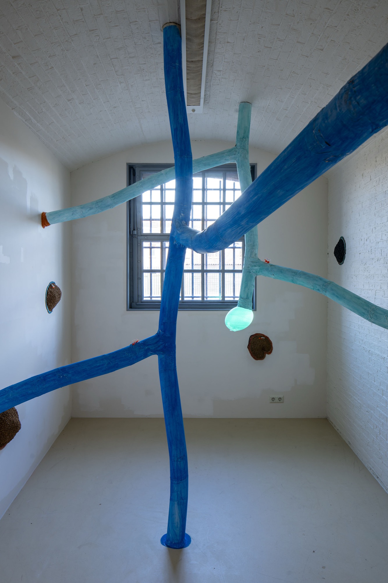 Ants Trilogy: Magic Dome