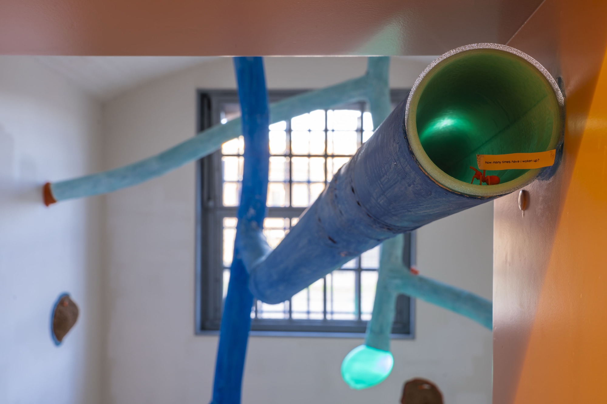 Ants Trilogy: Magic Dome