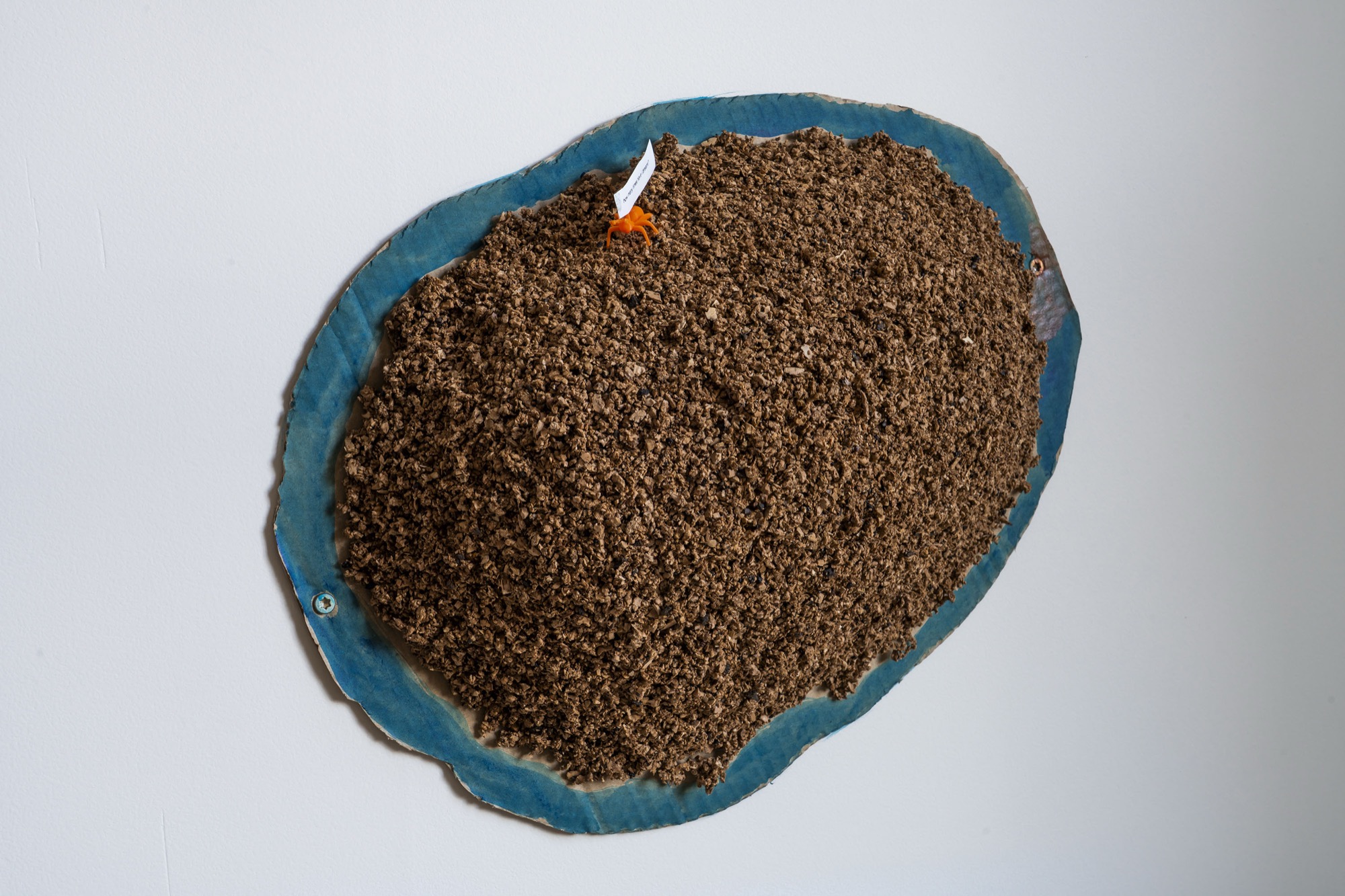 Ants Trilogy: Magic Dome