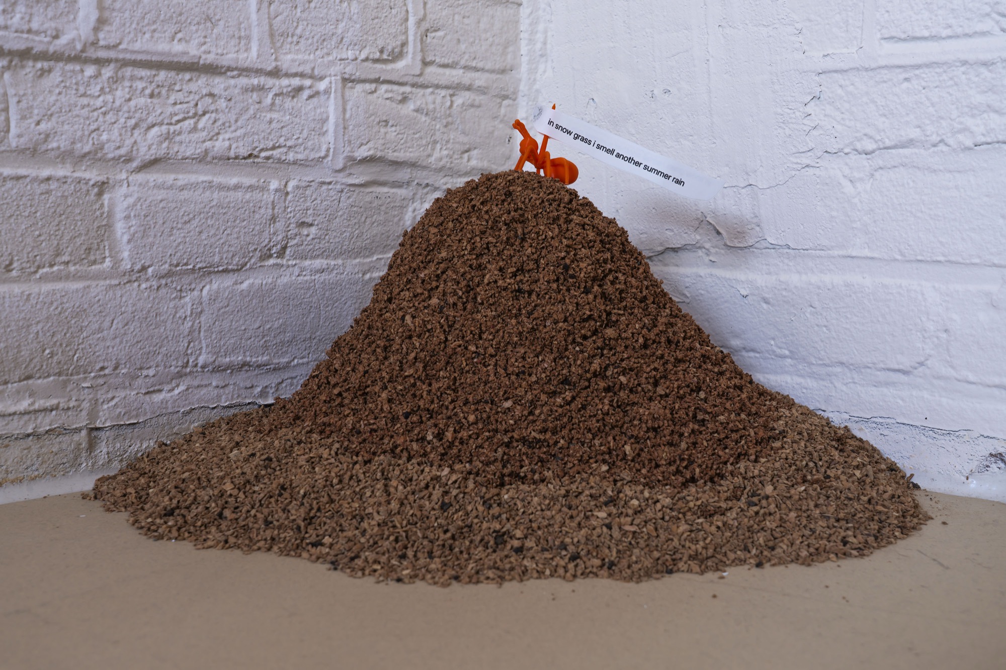 Ants Trilogy: Magic Dome