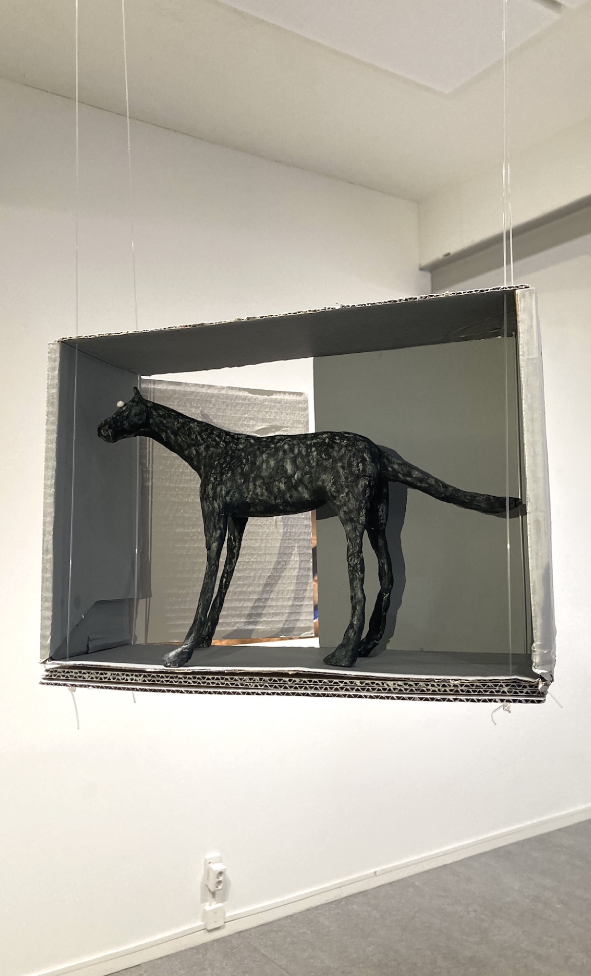 typhoon rain, half as long as dream